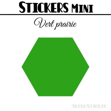 16 Hexagones 5 cm - Stickers mini gommettes